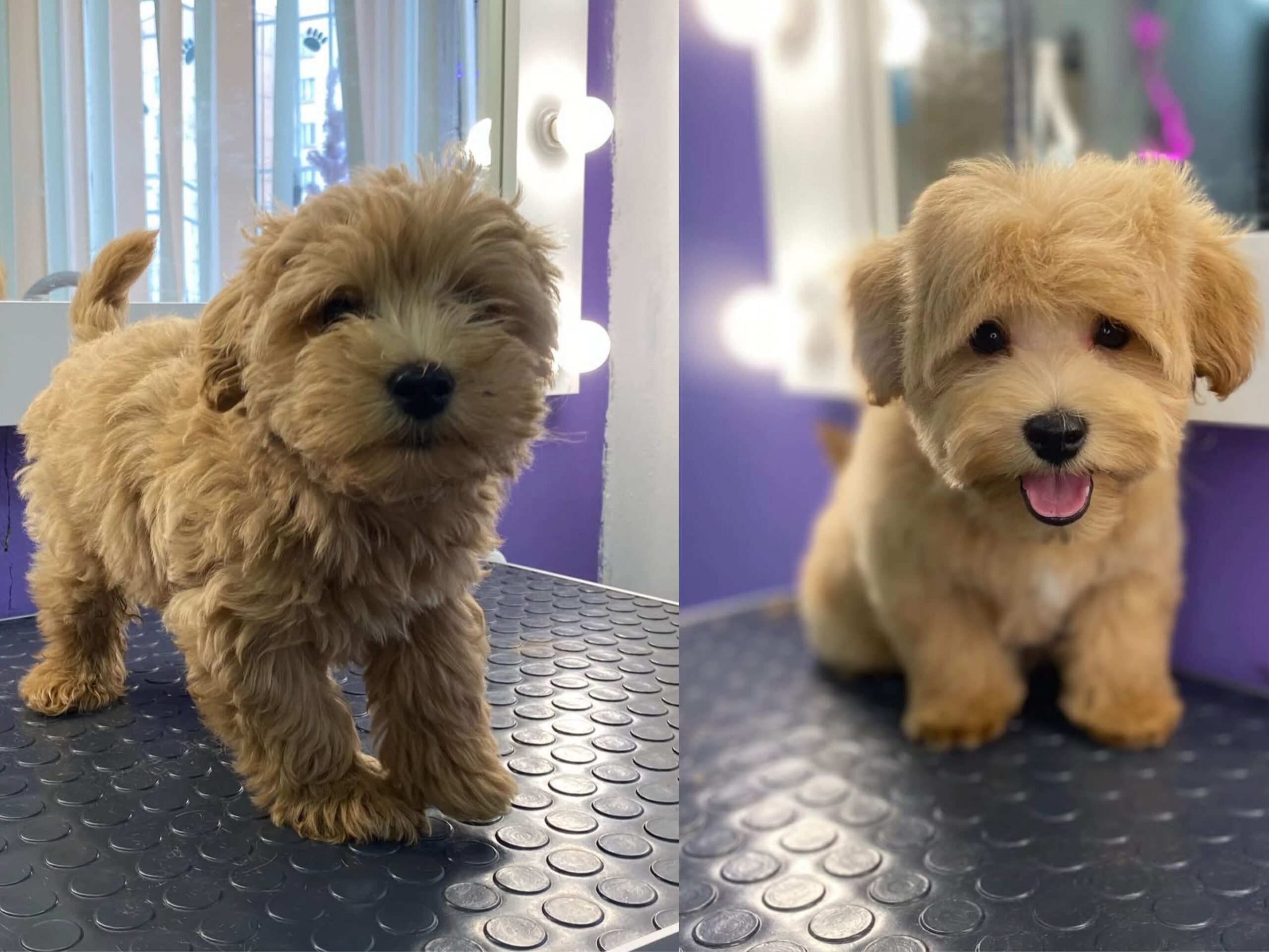 Тримминг (стриппинг)