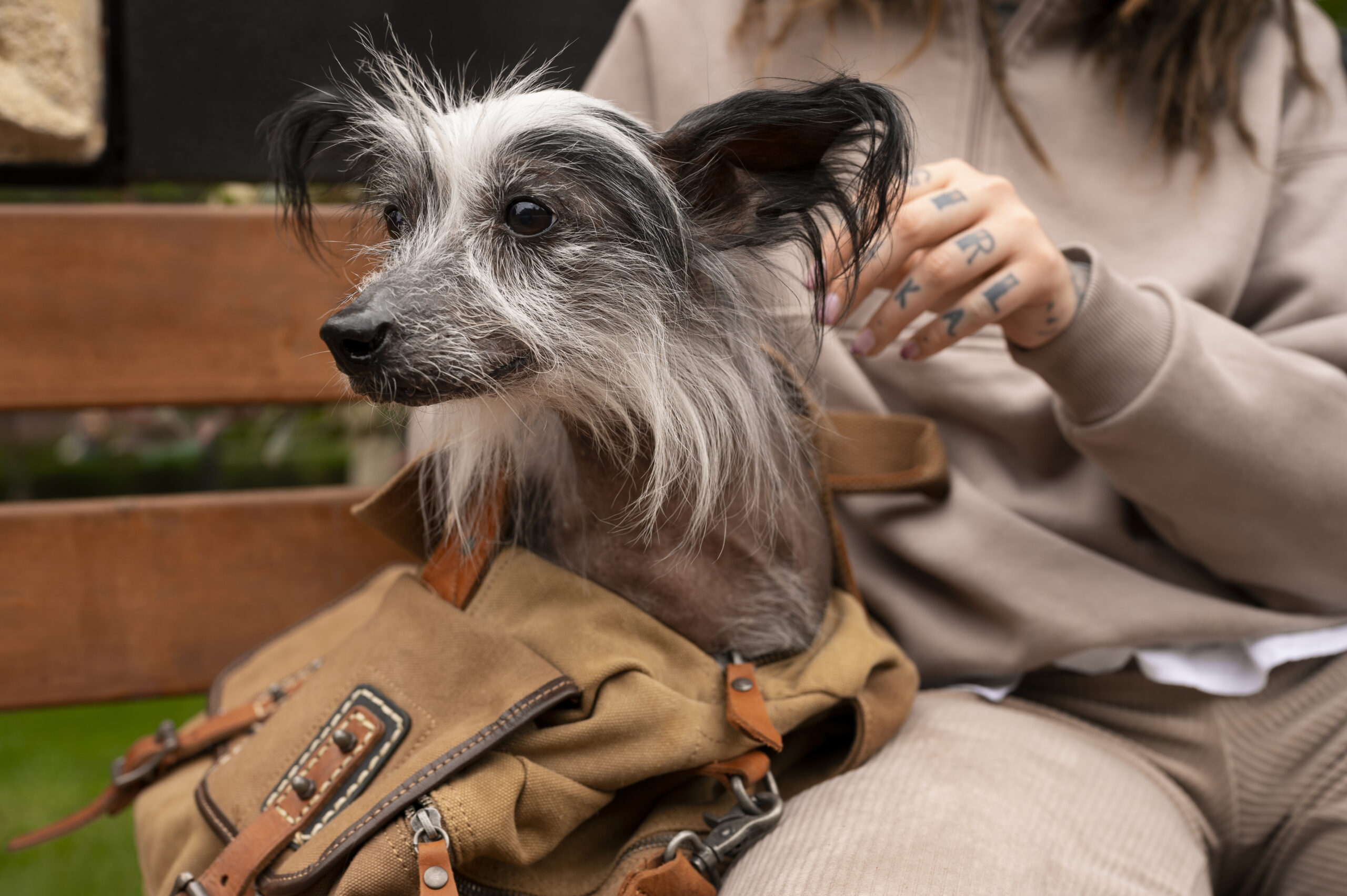 Школа груминга Минск